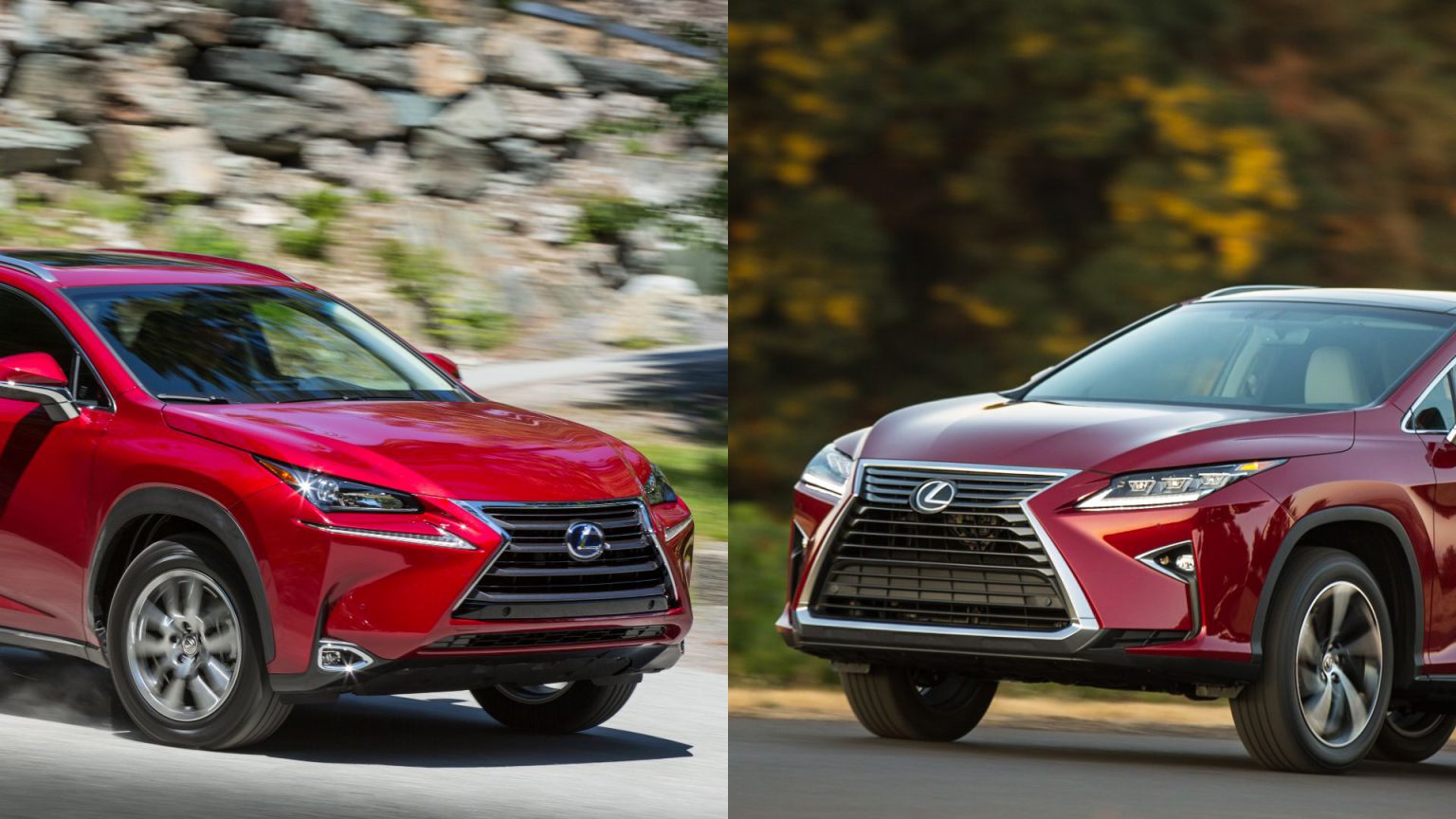 Lexus NX vs RX Comparing The Two TopSelling Lexus SUVs Motorborne