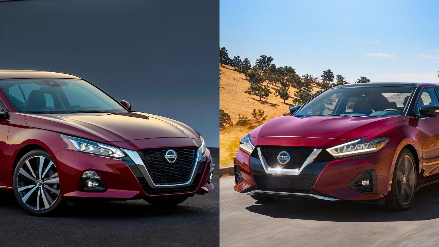 Nissan Altima vs Maxima Is The Price Difference Justified? Motorborne